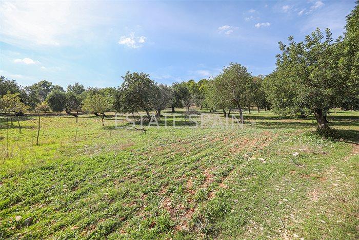 Дом в Бинисалеме 120 м2 №VL20116CE91D  - Продажа - 10 preview