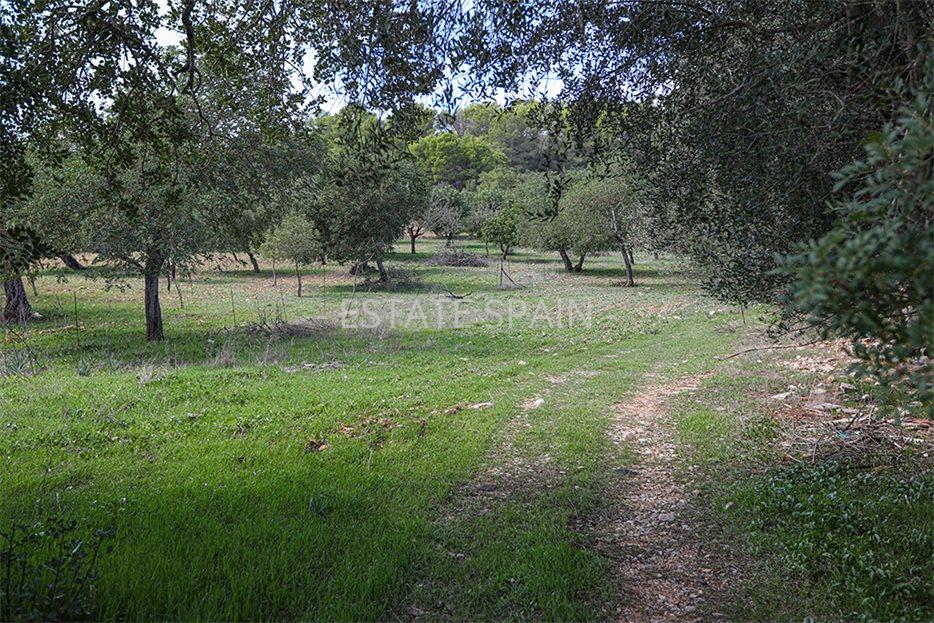 Дом в Бинисалеме 120 м2 №VL20116CE91D  - Продажа - 12 large