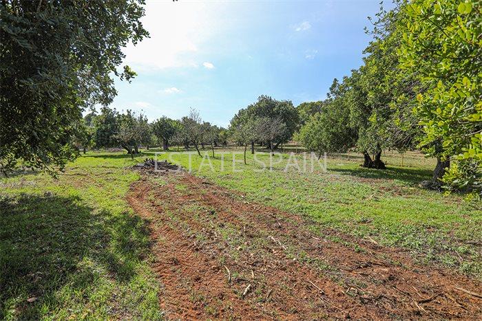 Дом в Бинисалеме 120 м2 №VL20116CE91D  - Продажа - 9 preview