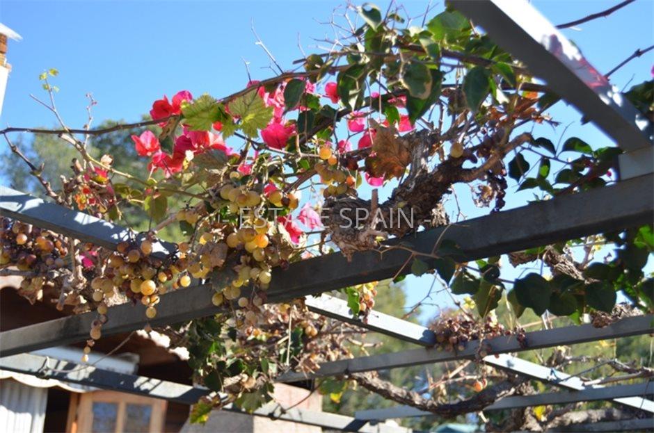 Вилла в Кунит 60 м2 №VL24367BB0E  - Продажа - 23 large