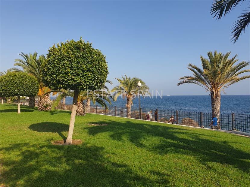 Таунхаус в Плайя-де-Сан-Хуан 270 м2 №BL197166E117  - Продажа - 42 large