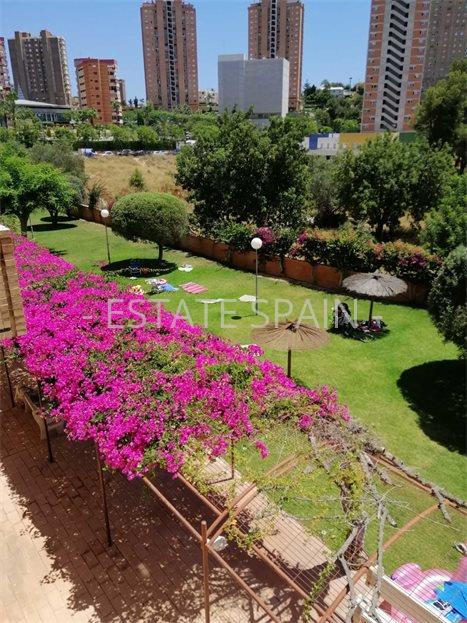 Апартаменты в Бенидорме 110 м2 №ART221262AEF0  - Продажа - 42 large