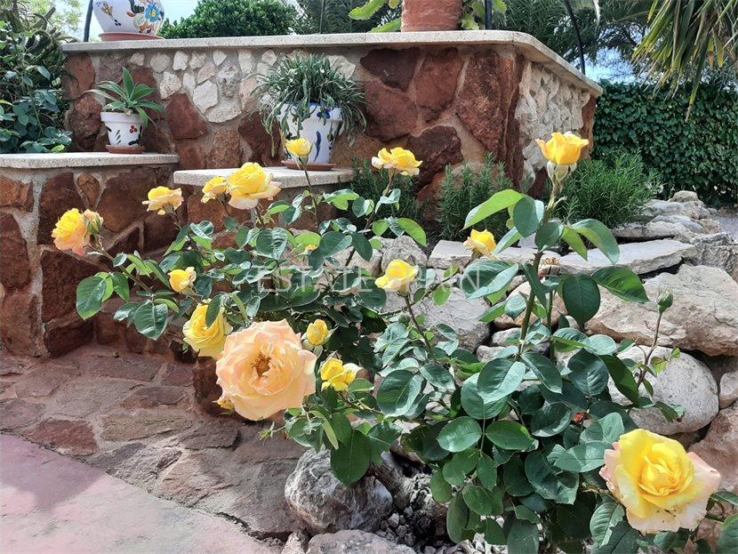 Сельский дом в Абанилья 455 м2 №VL241223F2141  - Продажа - 7 large