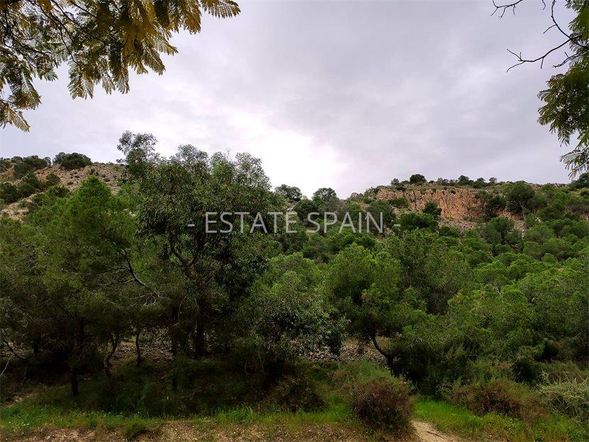 Пентхаус в Аликанте 236 м2 №ART1912149A32D  - Продажа - 66 large