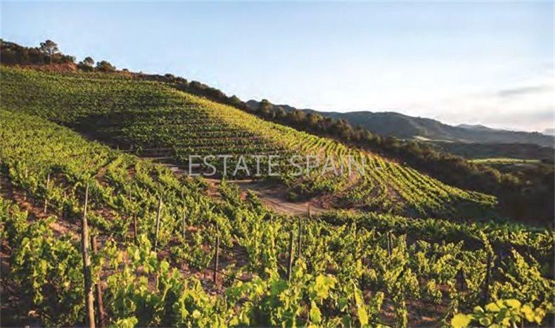 Апартаменты в Салоу 110 м2 №ART2510101DD9B  - Продажа - 8 preview