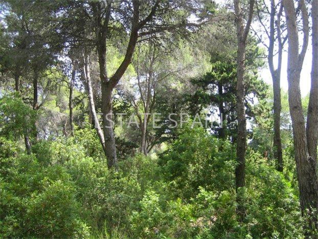 Сельский дом в Дении 190 м2 №VL218231BDAE  - Продажа - 5 preview