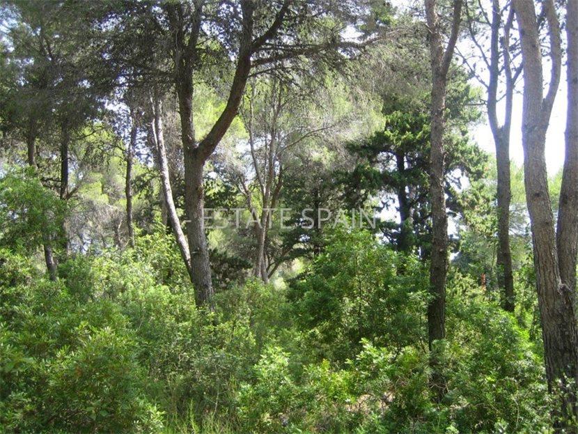 Сельский дом в Дении 190 м2 №VL218231BDAE  - Продажа - 5 large