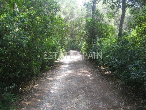 Сельский дом в Дении 190 м2 №VL218231BDAE  - Продажа - 4 preview