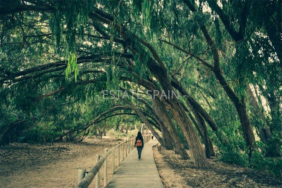 Вилла в Лос-Монтесиносе 116 м2 №VL2510108F299  - Продажа - 8 large