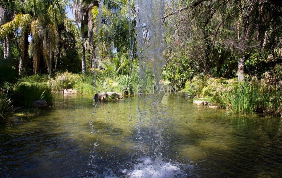 Вилла в Кала Мастелья 1500 м2 №VL171214F5E6  - Продажа - 27 large