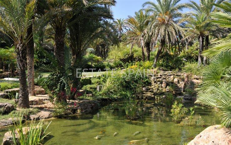 Вилла в Кала Мастелья 1500 м2 №VL171214F5E6  - Продажа - 8 preview