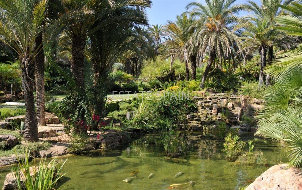 Вилла в Кала Мастелья 1500 м2 №VL171214F5E6  - Продажа - 8 large