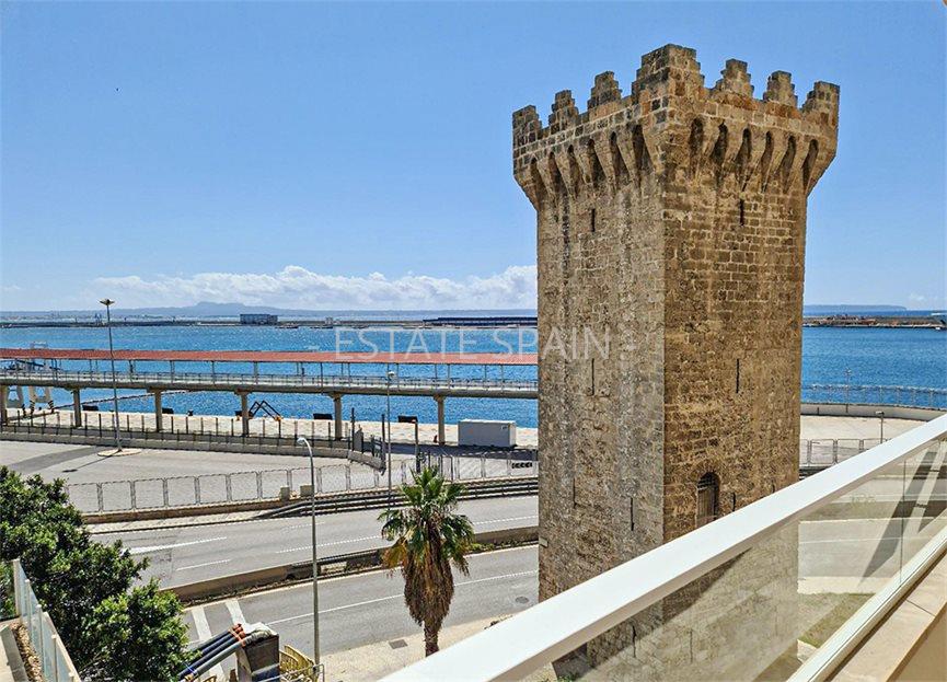 Апартаменты в Пальма-де-Майорка 320 м2 №ART20824A2352  - Продажа - 5 large