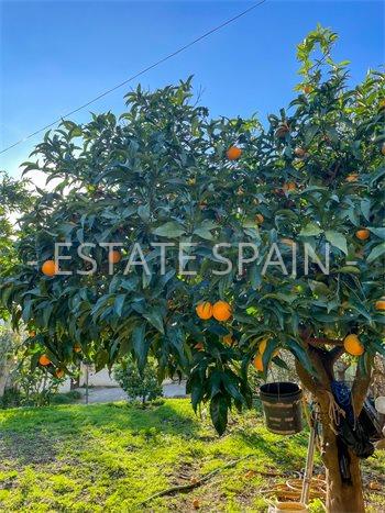 Сельский дом в Эстепоне 96 м2 №VL24635590B  - Продажа - 9 preview