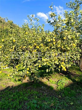 Сельский дом в Эстепоне 96 м2 №VL24635590B  - Продажа - 6 preview