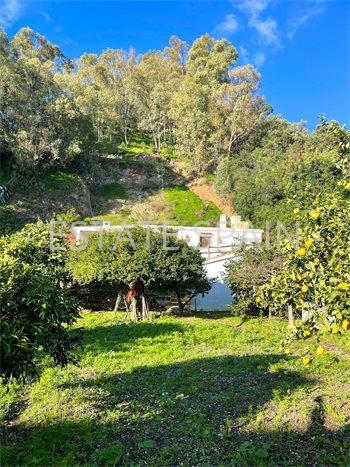 Сельский дом в Эстепоне 96 м2 №VL24635590B  - Продажа - 5 preview