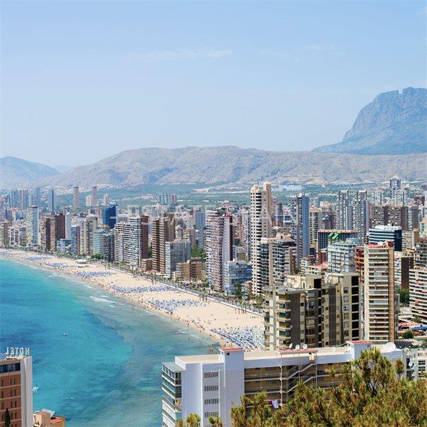 Апартаменты в Бенидорме 220 м2 №ART214281D712  - Продажа - 2 large