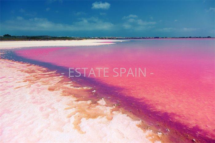 Бунгало в Торревьехе 70 м2 №BL2510971BB8  - Продажа - 49 preview