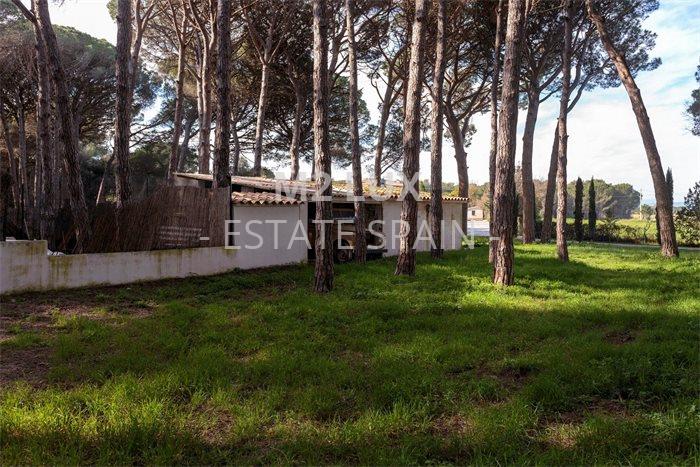 Поместье в Пальсе 632 м2 №VL233461B08  - Продажа - 99 preview