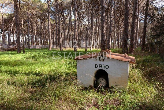 Поместье в Пальсе 632 м2 №VL233461B08  - Продажа - 95 preview