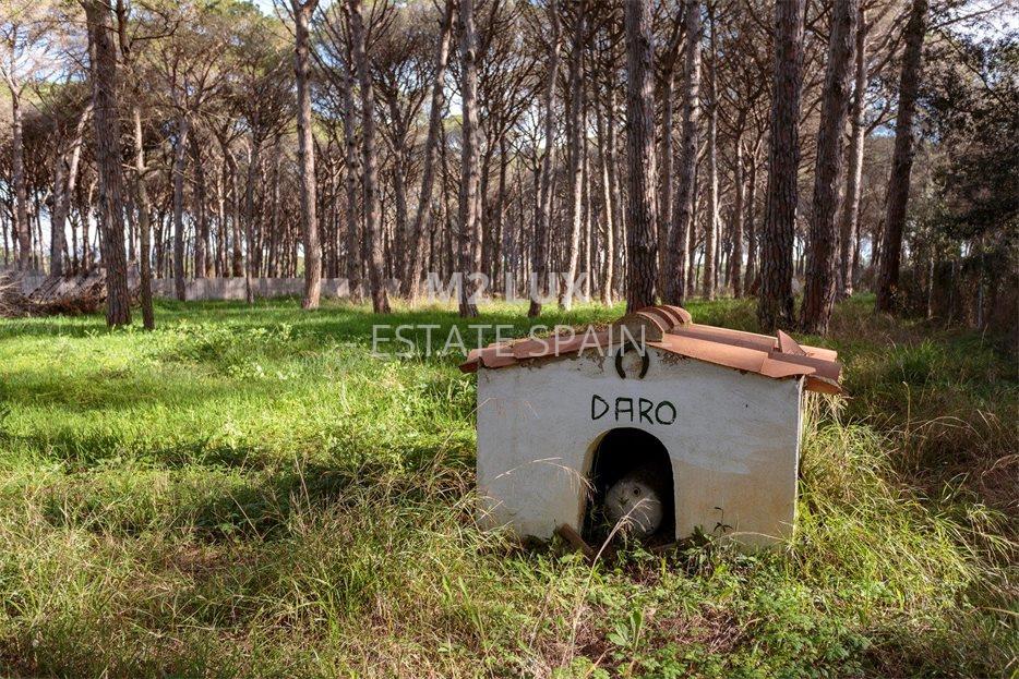 Поместье в Пальсе 632 м2 №VL233461B08  - Продажа - 95 large