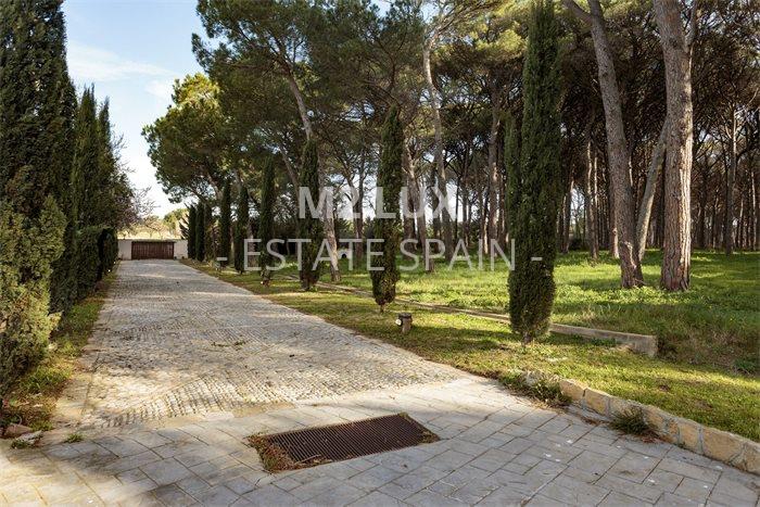 Поместье в Пальсе 632 м2 №VL233461B08  - Продажа - 2 preview