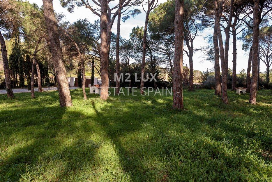 Поместье в Пальсе 632 м2 №VL233461B08  - Продажа - 97 large