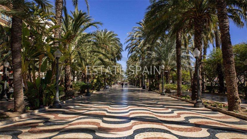 Апартаменты в Аликанте 83 м2 №ART259171D271  - Продажа - 12 preview