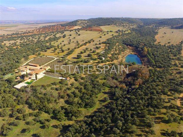 Поместье в Мадриде 1800 м2 №COM2152003EC8  - Продажа - 1 preview