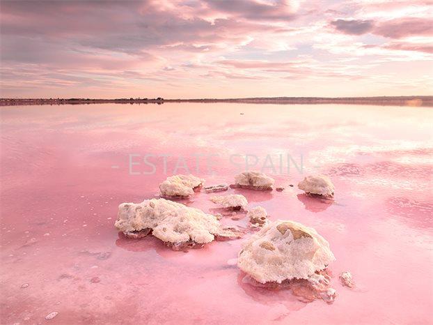 Бунгало в Торревьехе 139 м2 №BL2510107039E  - Продажа - 5 preview