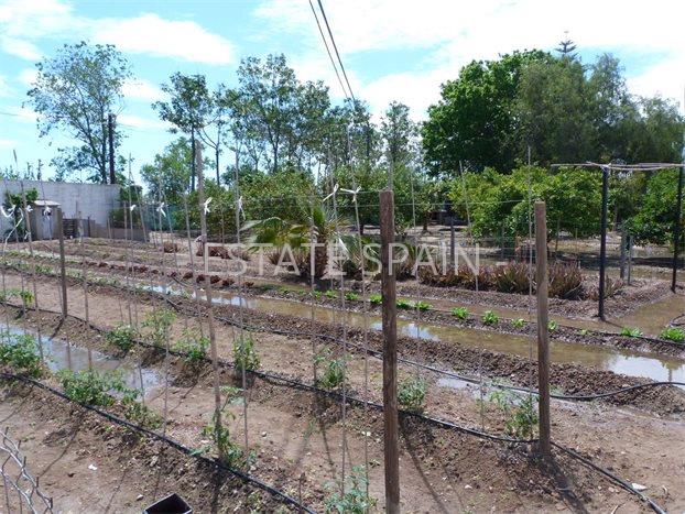 Вилла в Кульере 350 м2 №VL19528E2420  - Продажа - 8 preview