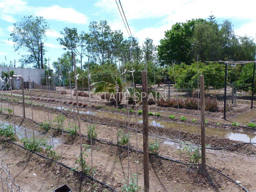 Вилла в Кульере 350 м2 №VL19528E2420  - Продажа - 8 large