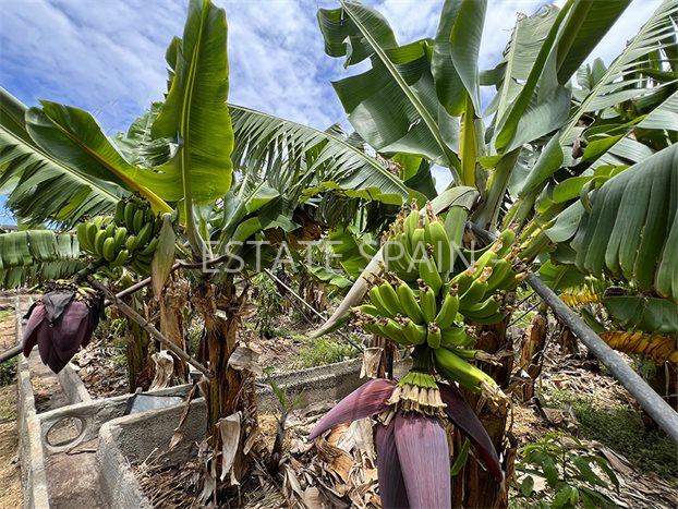 Дом в Ла-Калета 290 м2 №VL256185798B  - Продажа - 55 preview