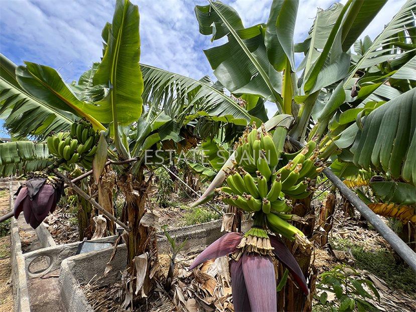 Дом в Ла-Калета 290 м2 №VL256185798B  - Продажа - 55 large