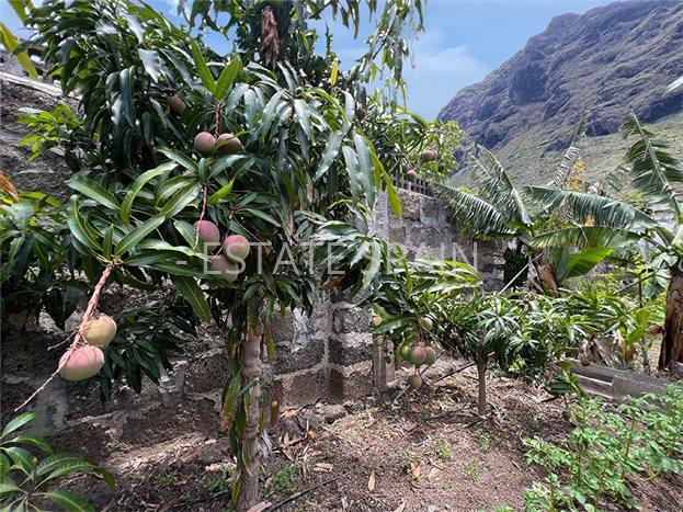 Дом в Ла-Калета 290 м2 №VL256185798B  - Продажа - 53 preview