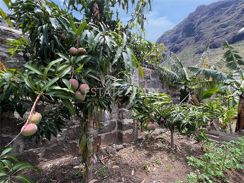 Дом в Ла-Калета 290 м2 №VL256185798B  - Продажа - 53 large