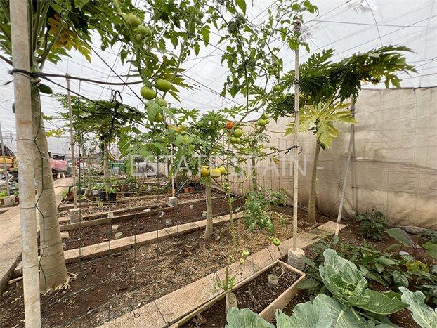 Дом в Ла-Калета 290 м2 №VL256185798B  - Продажа - 51 preview