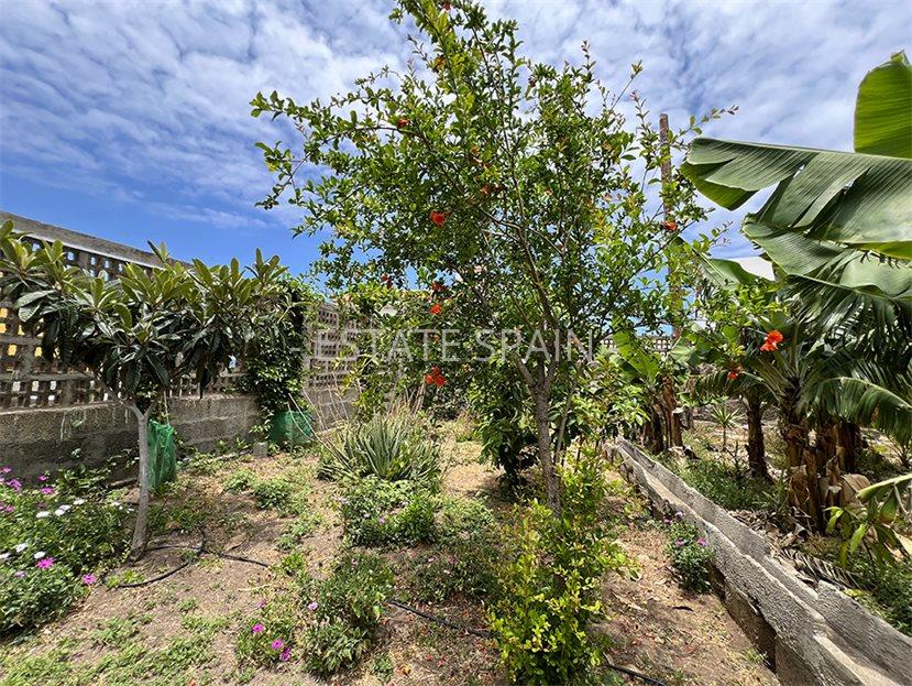 Дом в Ла-Калета 290 м2 №VL256185798B  - Продажа - 56 large