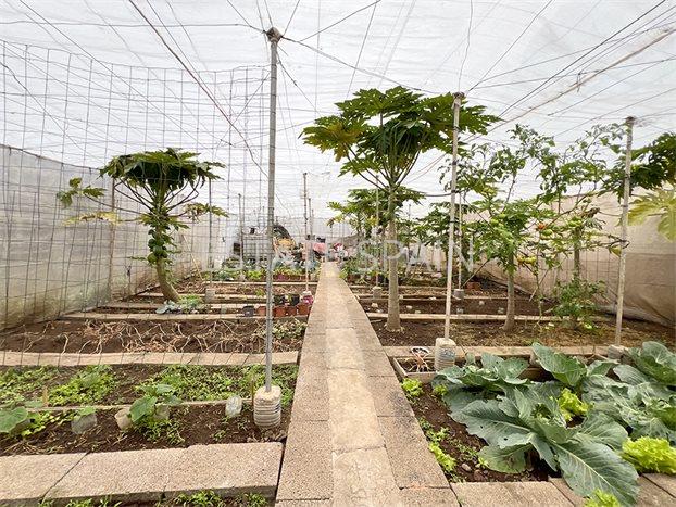 Дом в Ла-Калета 290 м2 №VL256185798B  - Продажа - 50 preview