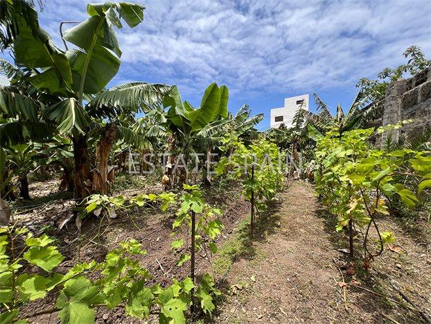 Дом в Ла-Калета 290 м2 №VL256185798B  - Продажа - 54 preview