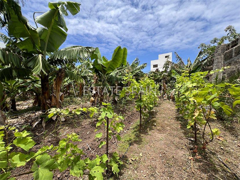 Дом в Ла-Калета 290 м2 №VL256185798B  - Продажа - 54 large