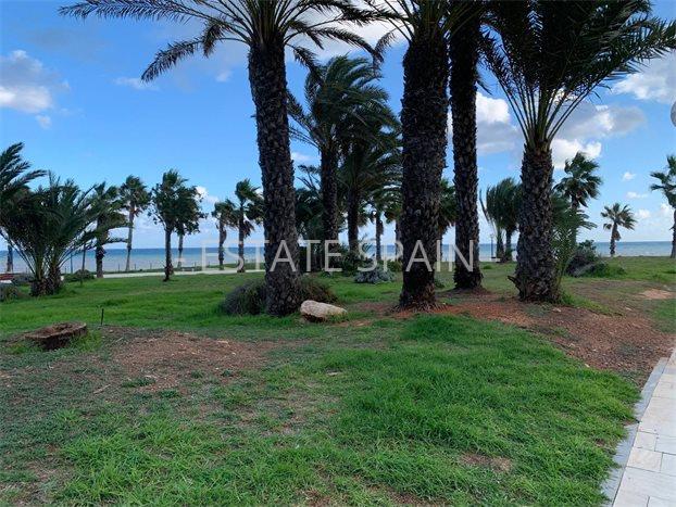 Апартаменты в Плайя-Фламенка 80 м2 №ART211119EDC24  - Продажа - 16 preview