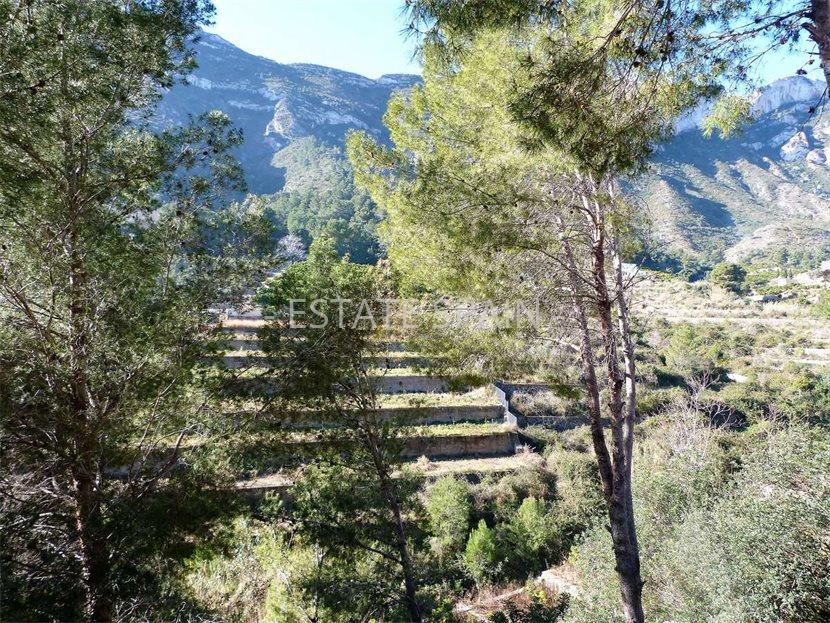 Вилла в Кульере 390 м2 №VL19218E03EA  - Продажа - 2 large