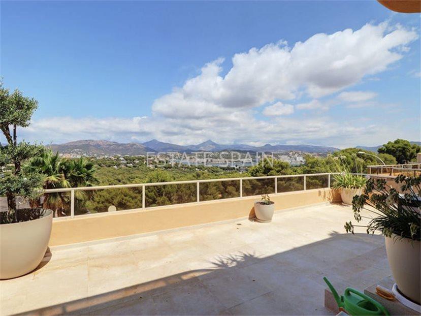 Апартаменты в Санта-Понсе 124 м2 №ART23116789C1  - Продажа - 13 large