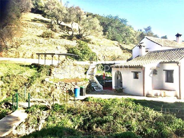 Вилла в Касаресе 120 м2 №VL2251104A5B  - Продажа - 6 preview