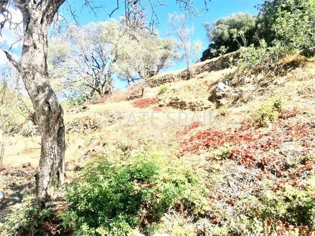 Вилла в Касаресе 120 м2 №VL2251104A5B  - Продажа - 28 preview