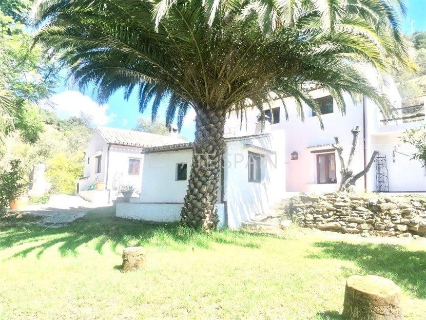 Вилла в Касаресе 120 м2 №VL2251104A5B  - Продажа - 4 large