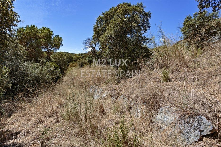 Участок в Калонже 959 м2 №PL2084C13DA  - Продажа - 4 large