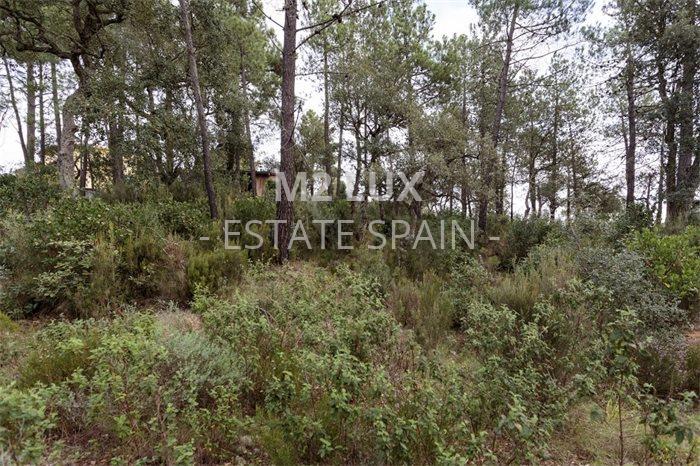 Участок в Ллорет-де-Маре 1443 м2 №PL1712129204  - Продажа - 5 preview