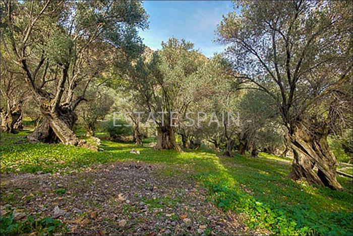 Таунхаус в Эскорке 320 м2 №TAU18327813B  - Продажа - 20 preview